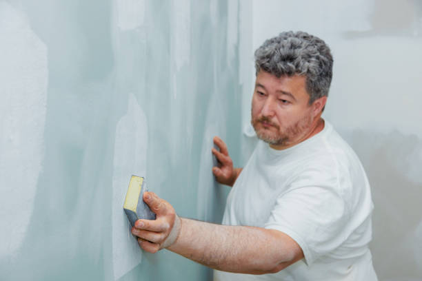 Best Mold Prevention Services  in St George, SC