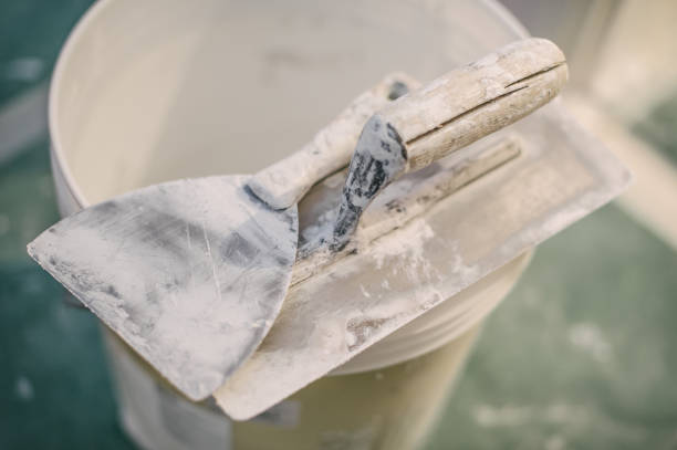 Best Mold Remediation for Healthcare Facilities  in St George, SC