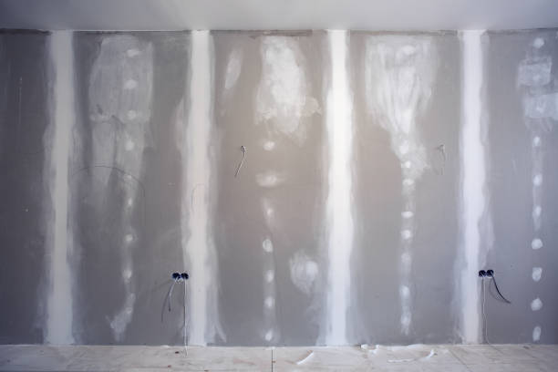 Best Dehumidification Services  in St George, SC